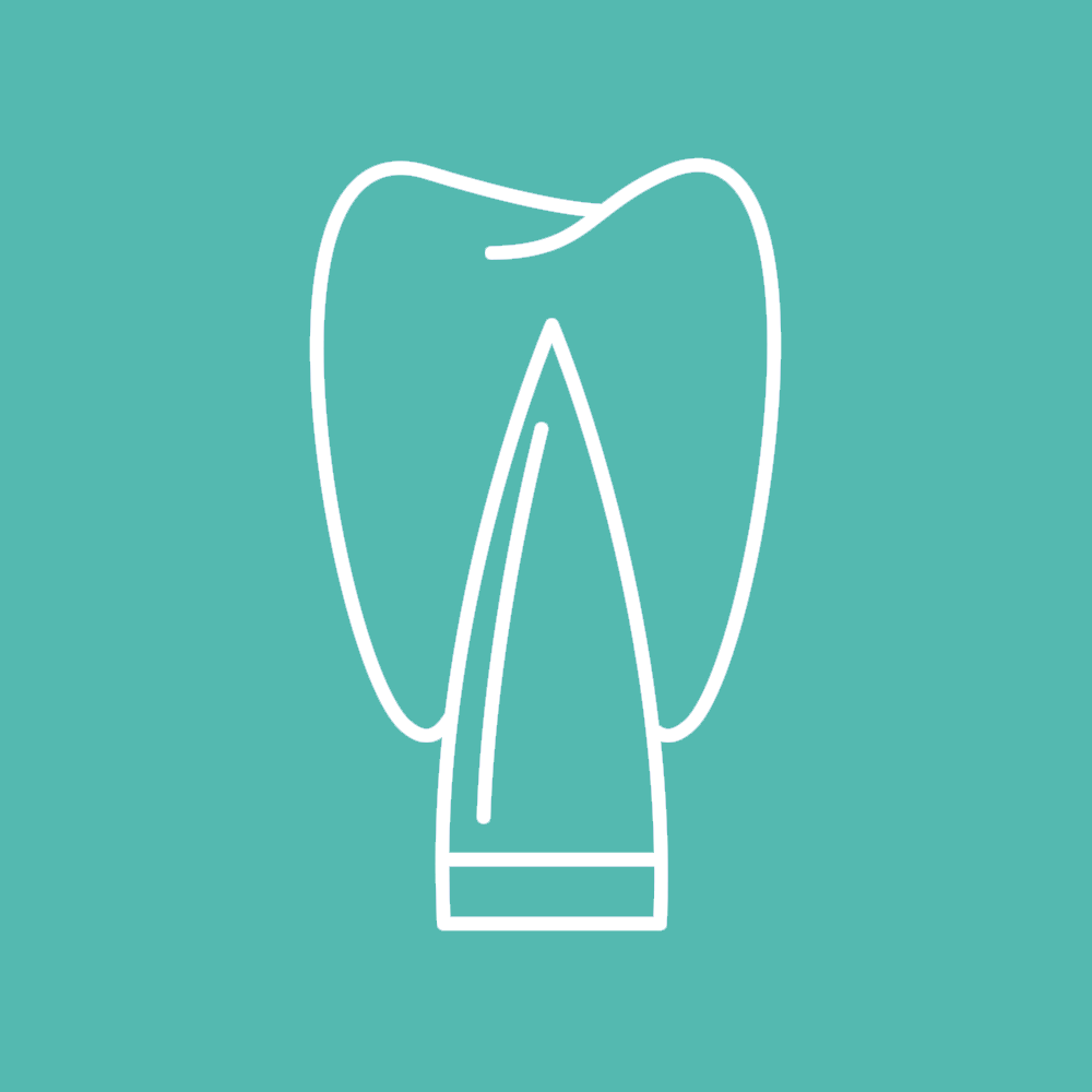 Dentalpinsel