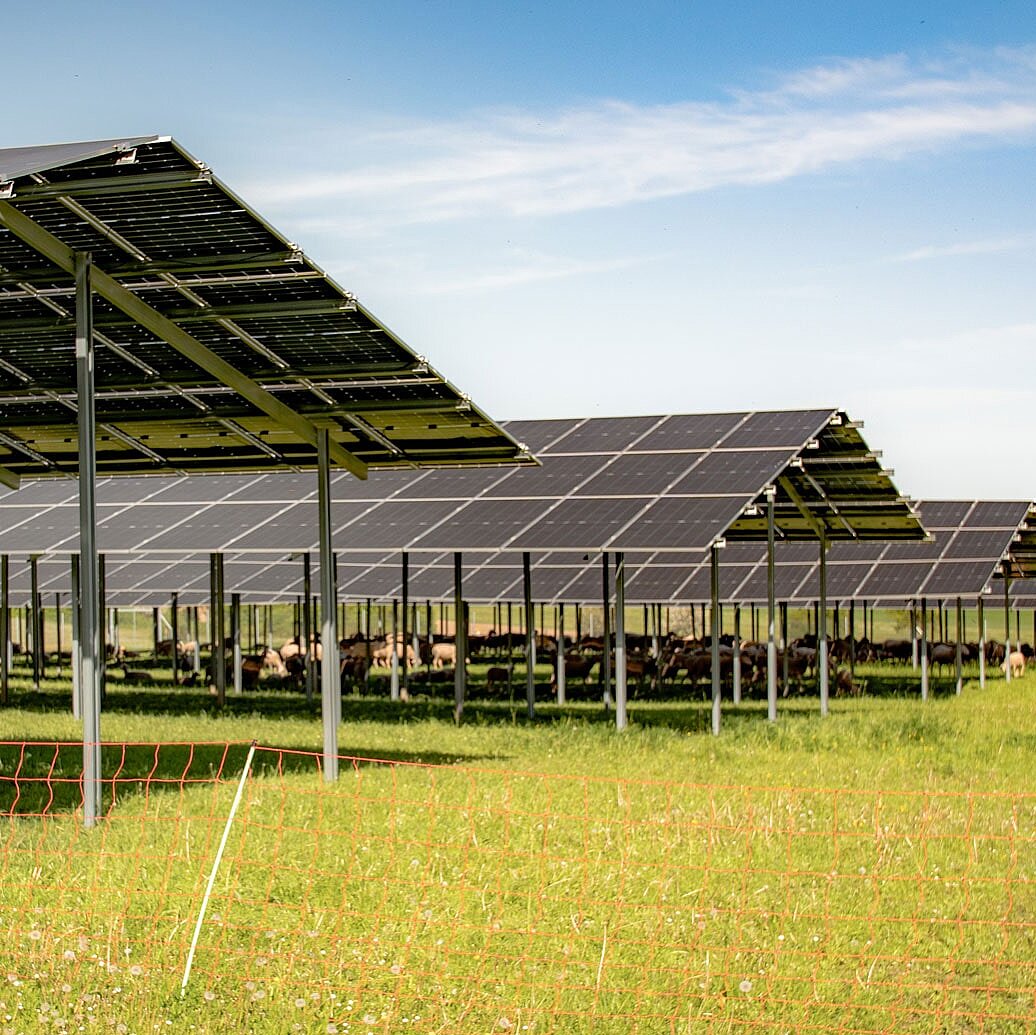 SL Tracker Agri-PV
