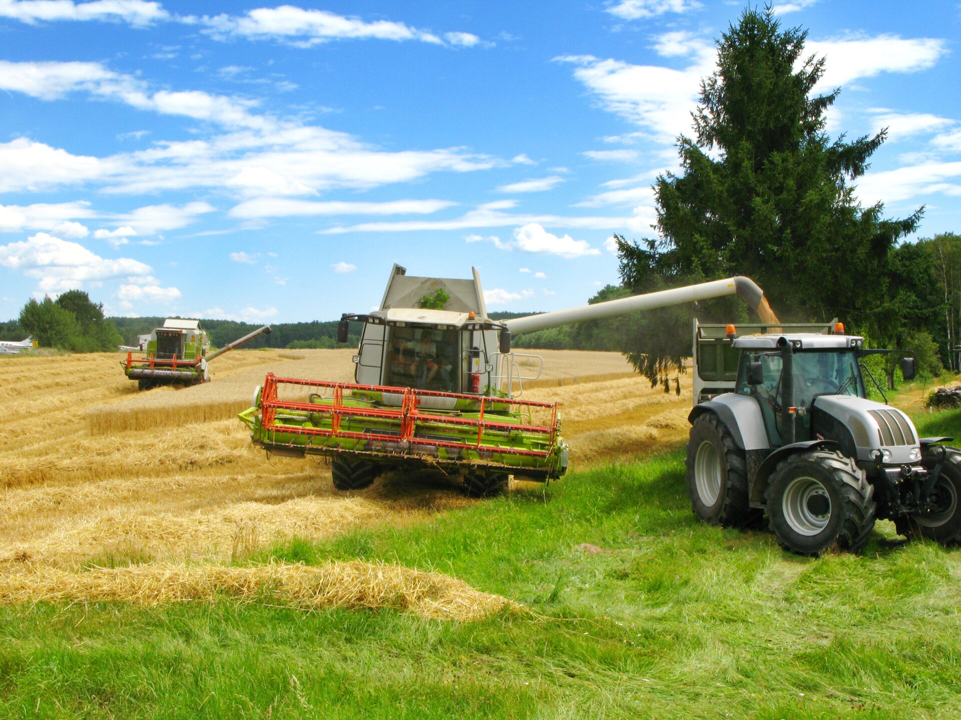 Ernte und Feldarbeit