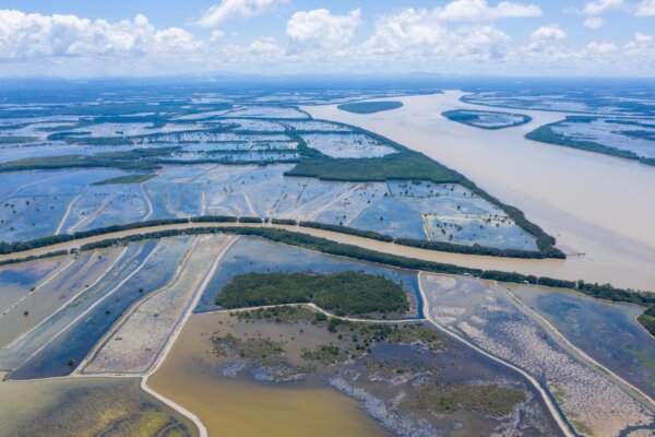 Teichanlage des Selva-Shrimp-Programms in Tarakan