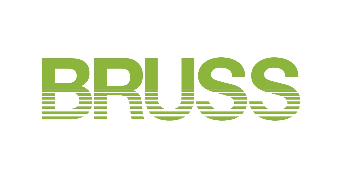 BRUSS Sealing Systems – Dichtungssysteme für die Automobilindustrie
