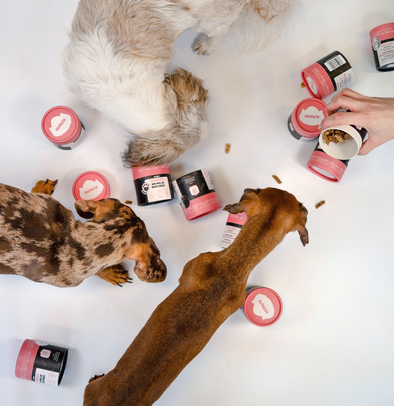 Leckerli für Hunde