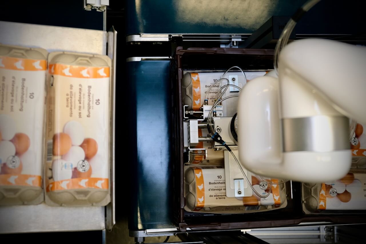 Packmuster in Transportkisten