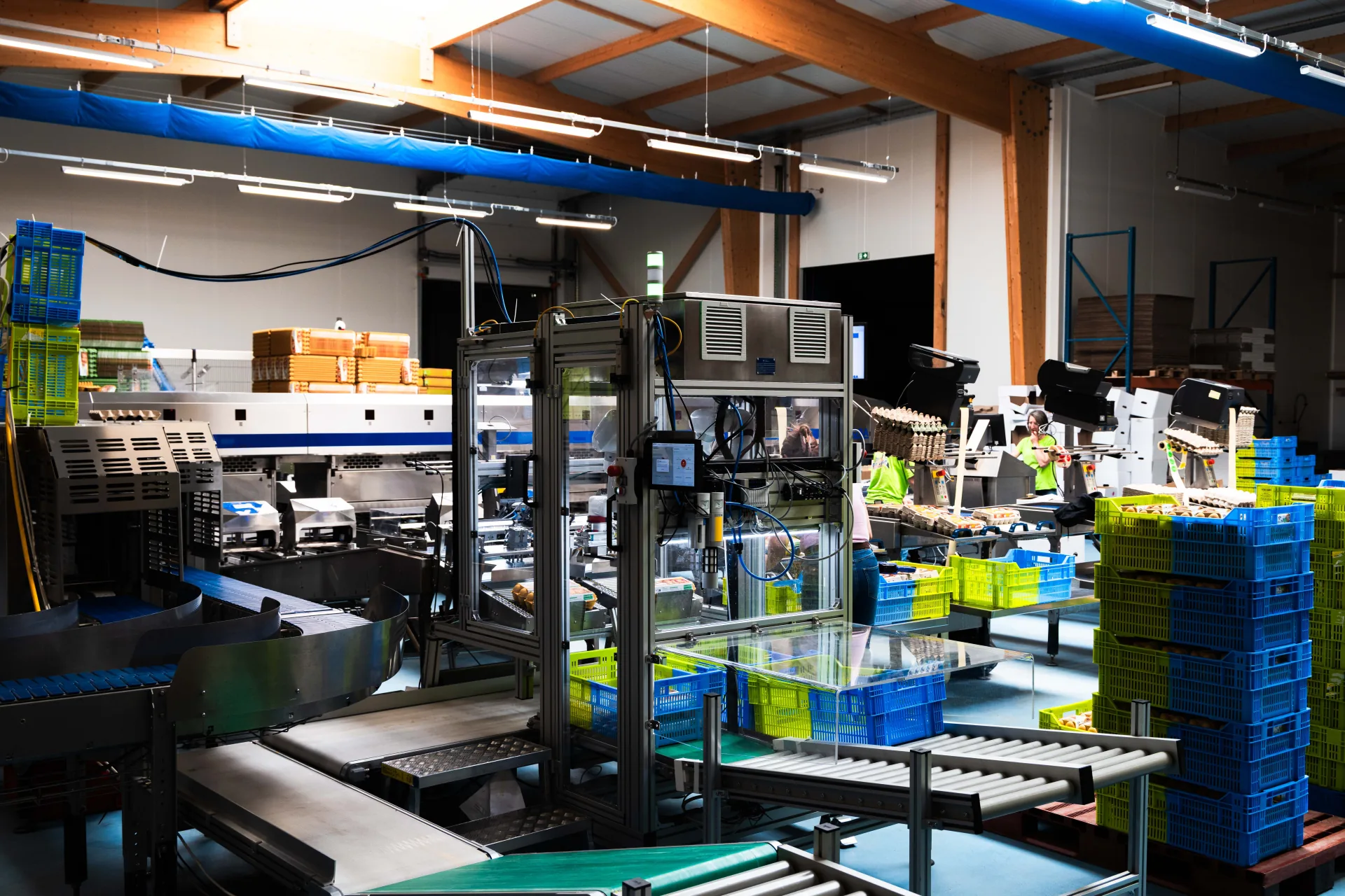Case Packer am Ende eines Moba-FT-Eiersortierers