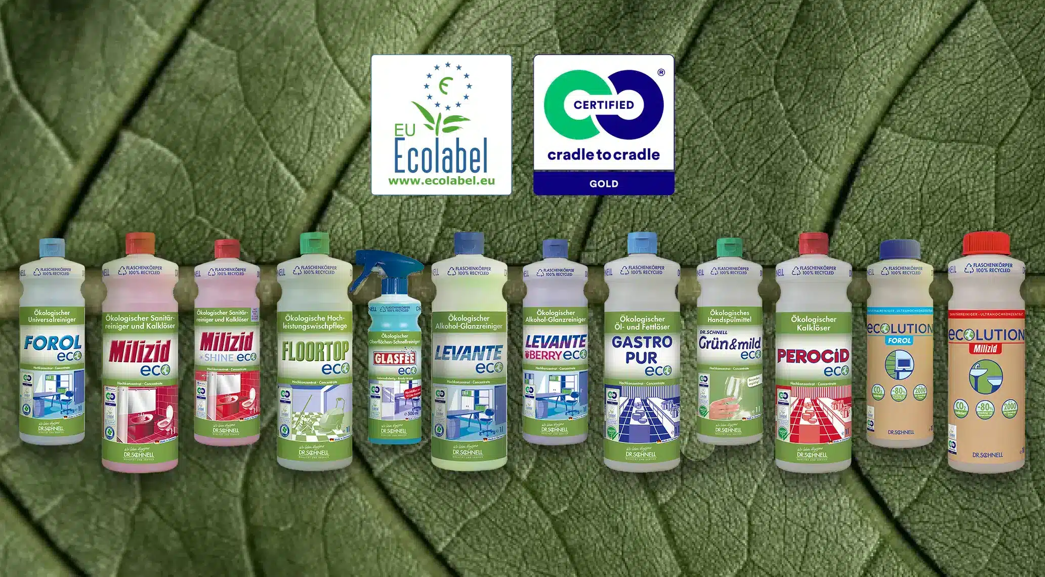 ECO Collection