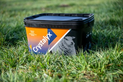 CRYSTALYX GARLYX