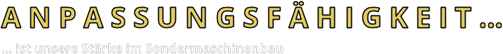 Sondermaschinenbau und Anpassungsfähigkeit