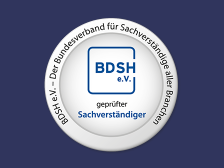 Havariegutachten