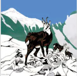 Projektarbeit Rehkitzrettung Wallis
