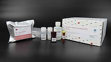Cytotoxicity Kit (XTT)