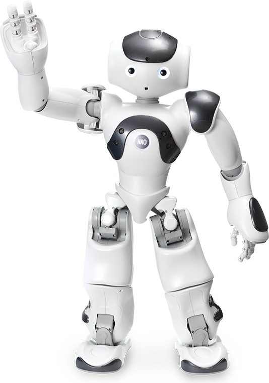 Humanoid Robot NAO