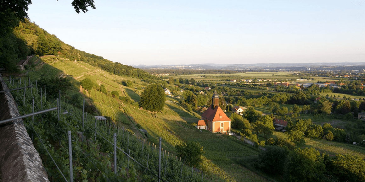 Referenz: Königlicher Weinberg Pillnitz