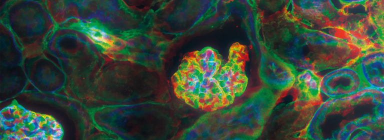 Life Science & Medical – Anwendungsgebiet