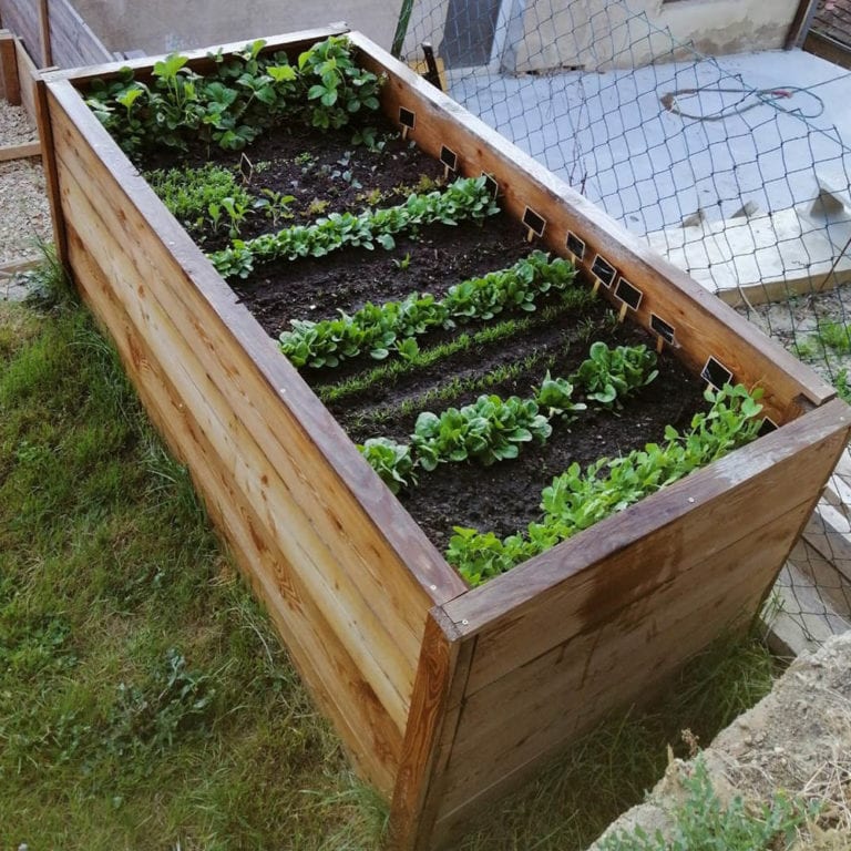 Hochbeet