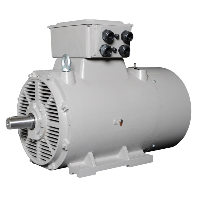 Motor (Baugrößen 63–400)