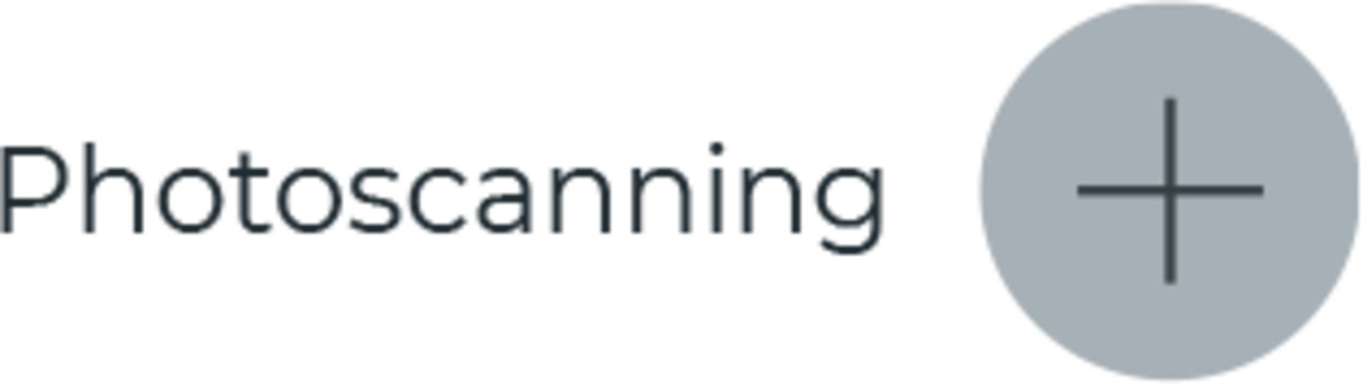 Photoscanning