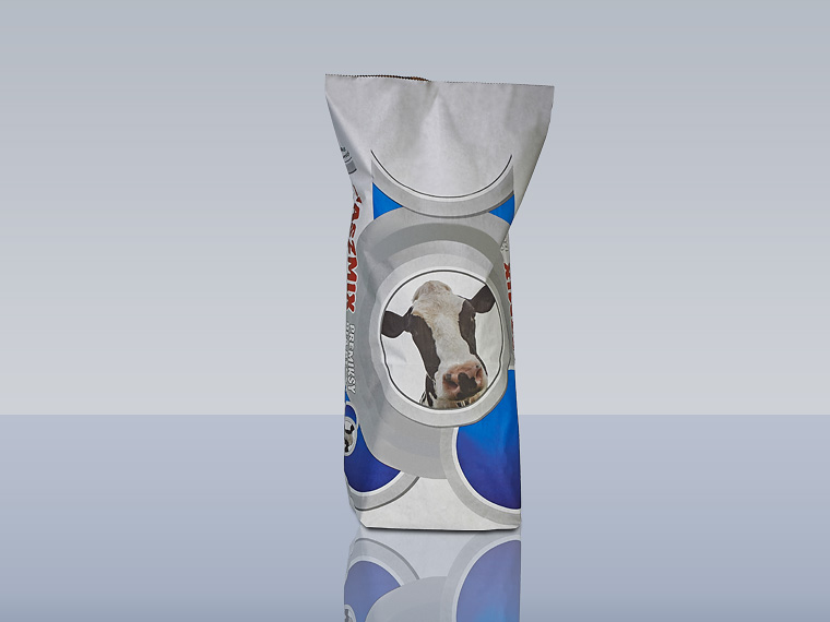 Cross-Bottom Sack – Variant 4