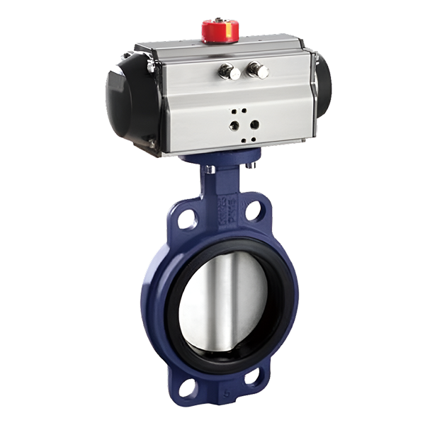 Butterfly-Valve-Einlauf