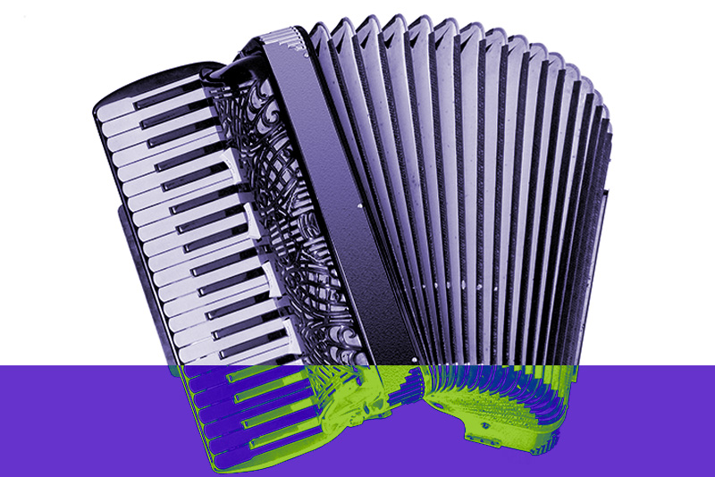 Accordion Master Pro