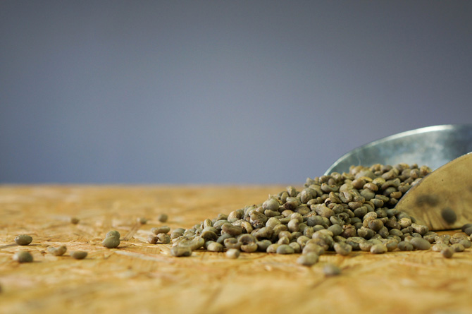 Rohkaffee Palanda (Ecuador)