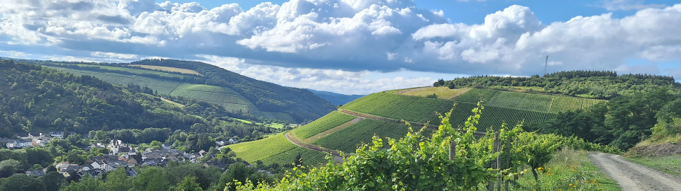 Lage Kaseler Nies'chen