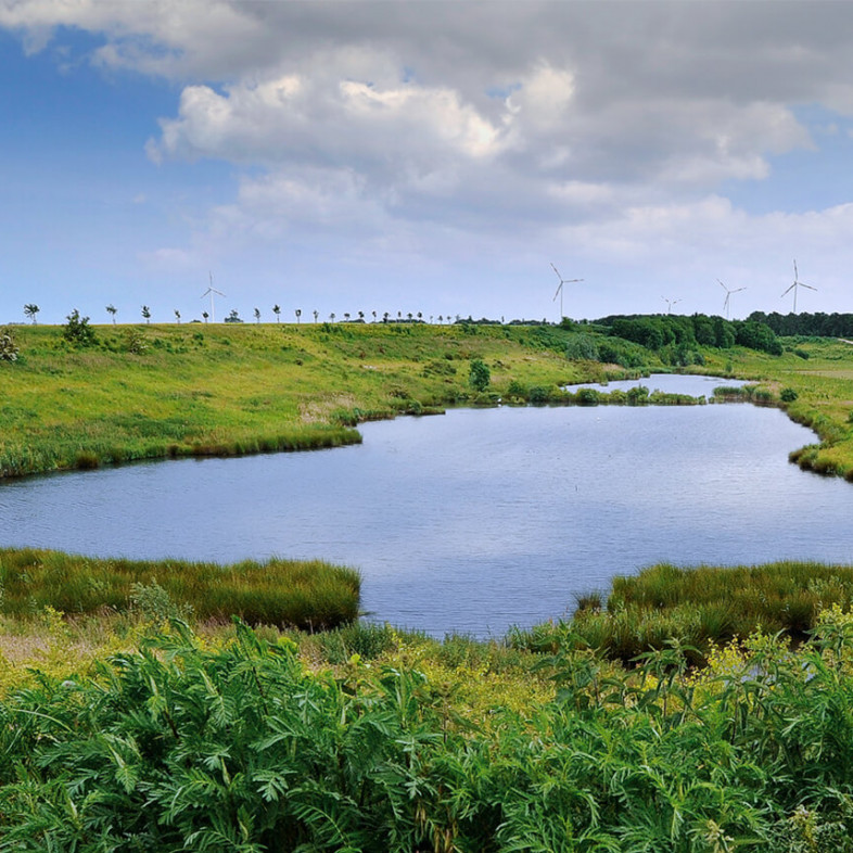 Naturbiotop mit Wiese und See im ehemaligen Abgrabungsgebiet