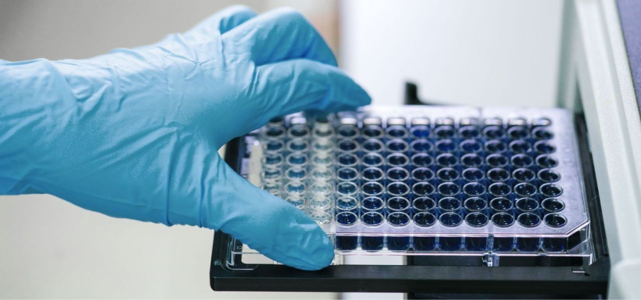 Microplate Reader