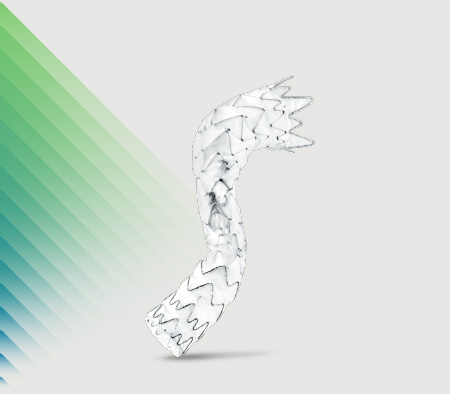 Thorakoabdominale Stent-Graft-Lösungen