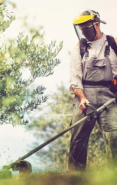 Reinigung und Pflege von Außenanlagen