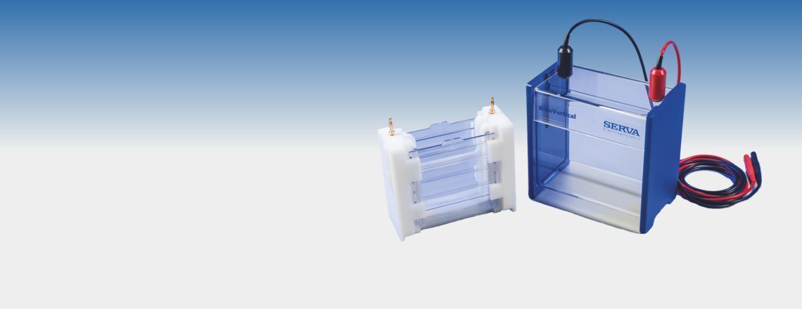 Reagents for Sample Preparation