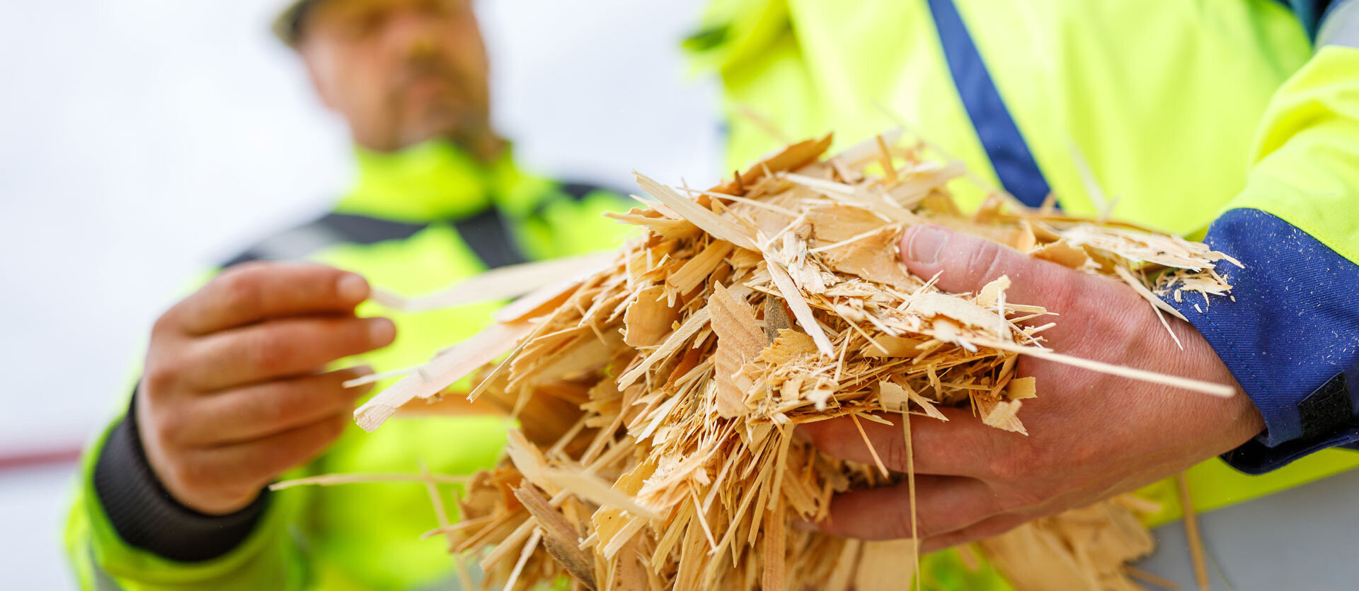 Holzfasern für die Pelletproduktion
