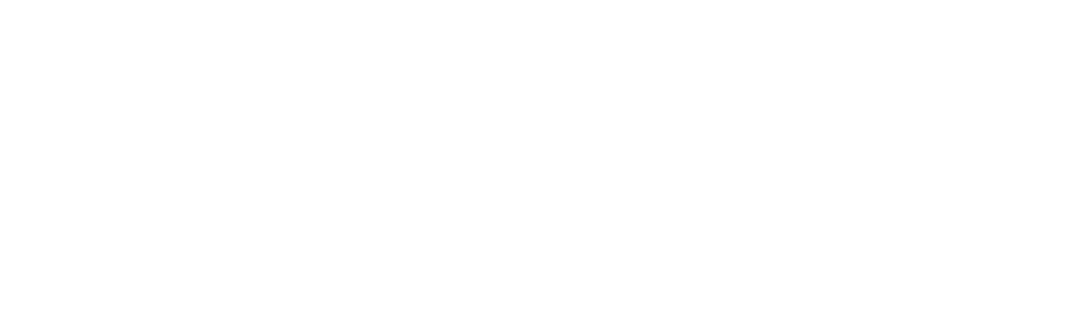 MGD Swiss Logo
