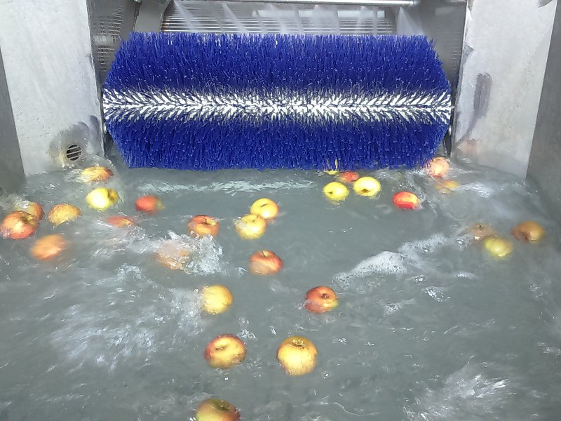 Obstwäscher