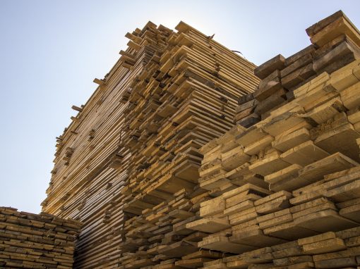Verschleißschutz für die Holzindustrie