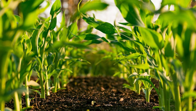 Hochdruckreiniger für die Landwirtschaft