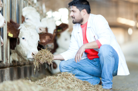 Tiergesundheit / Biocontrol