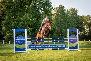 Sonderkonstruktion Pferdesport