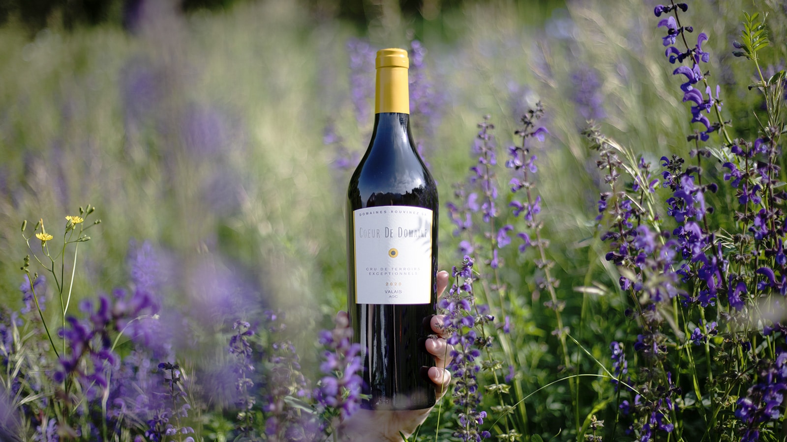 Cœur de Domaines