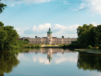 Gesunder Teich mit In-Situ-Technologie