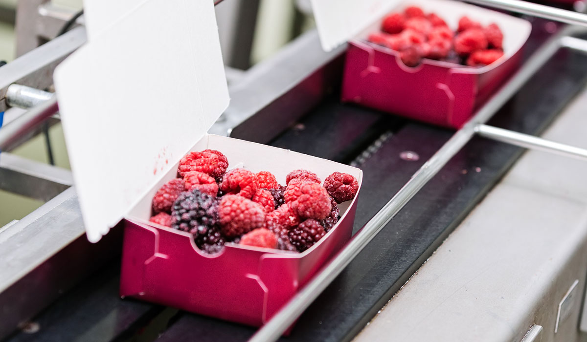 Packaging Machine for the Food Industry