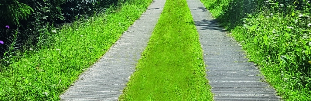 Spurplatten
