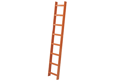 Dachleiter