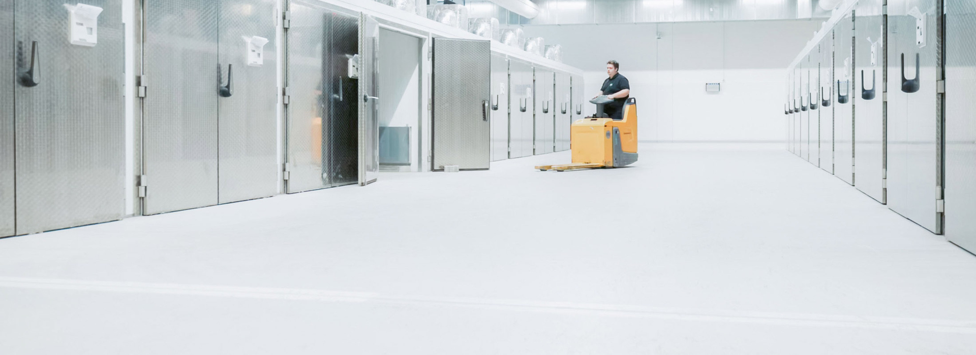EO-Sterilisation und Logistik