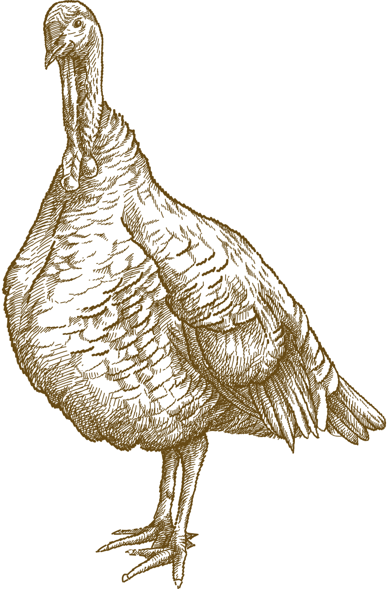 Putenfleisch