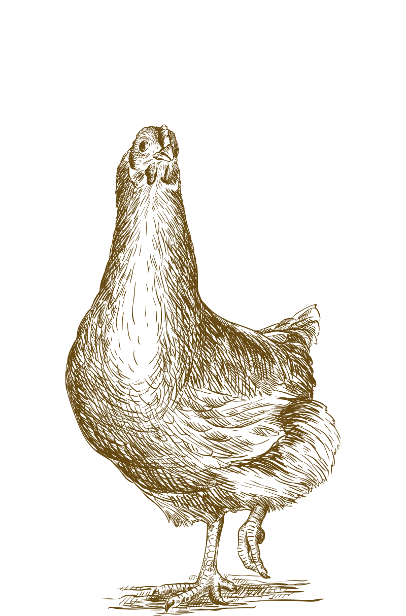 Hähnchenfleisch