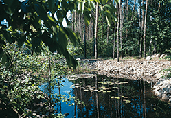 Biotope on the company premises