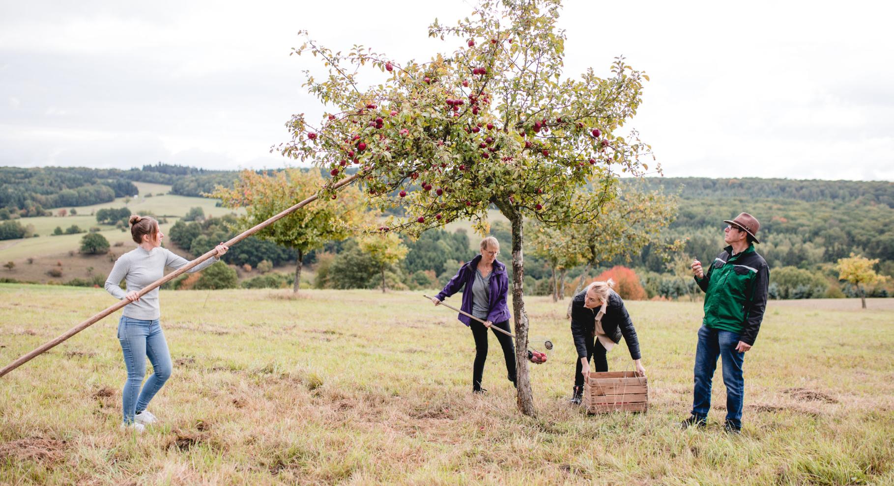 Fruchtkelterei Merg – Hof in Gebroth