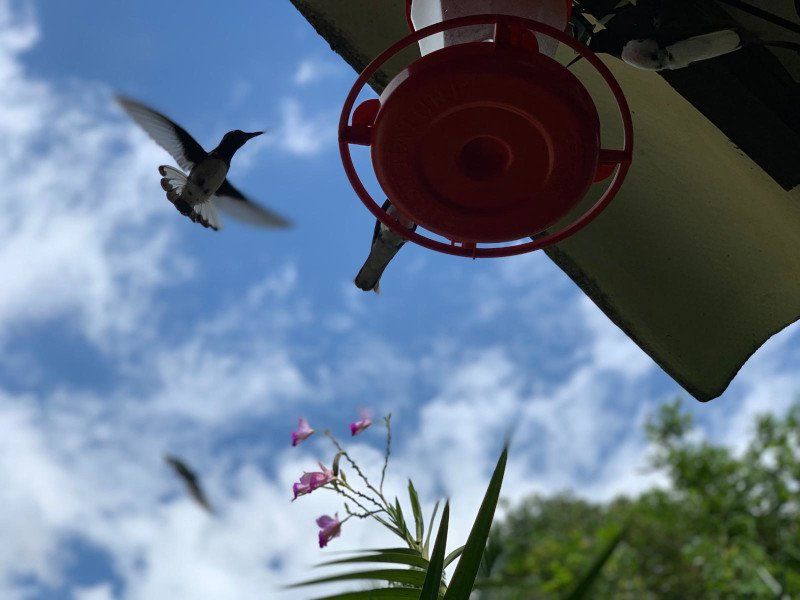Reise zum Kaffee-Ursprung