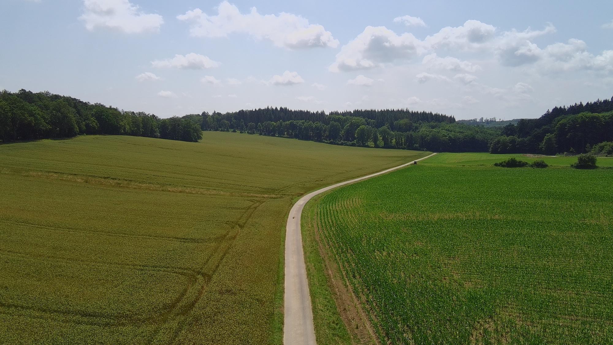 Projekt