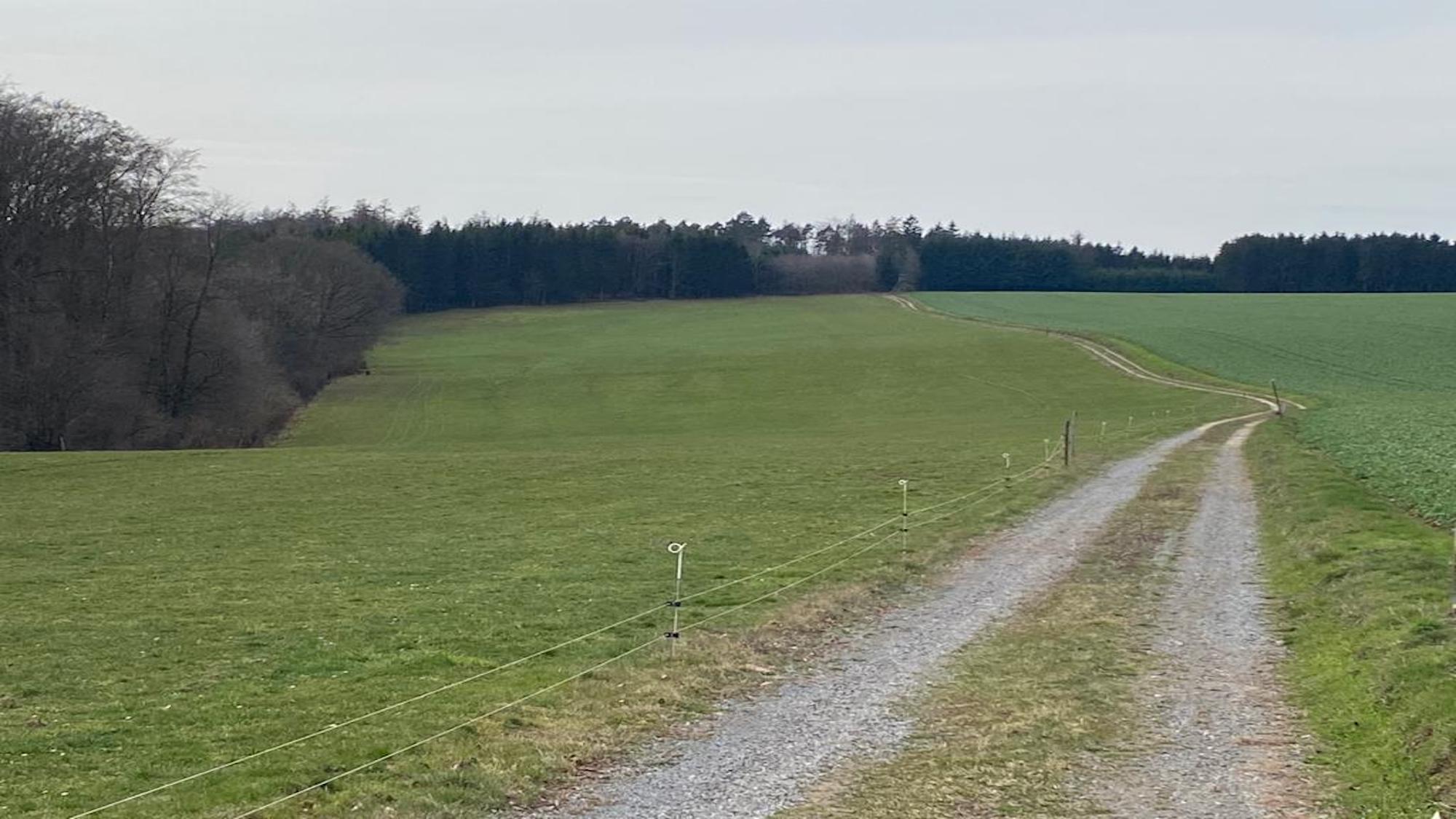 Projektgebiet Monbrunn/Weilbach